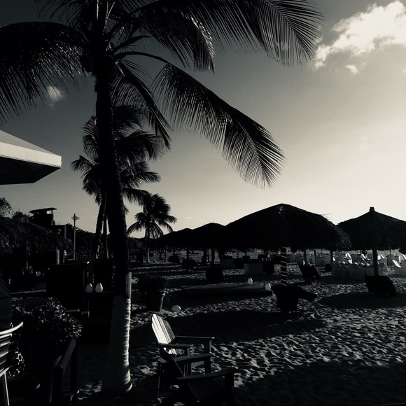 Meet Posh Ambassador, Marisa - Picture 7 of 7